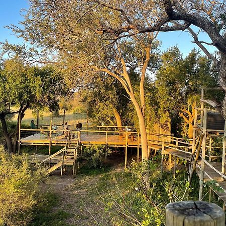 Rhino Walking Safaris Hotel Skukuza Exterior foto
