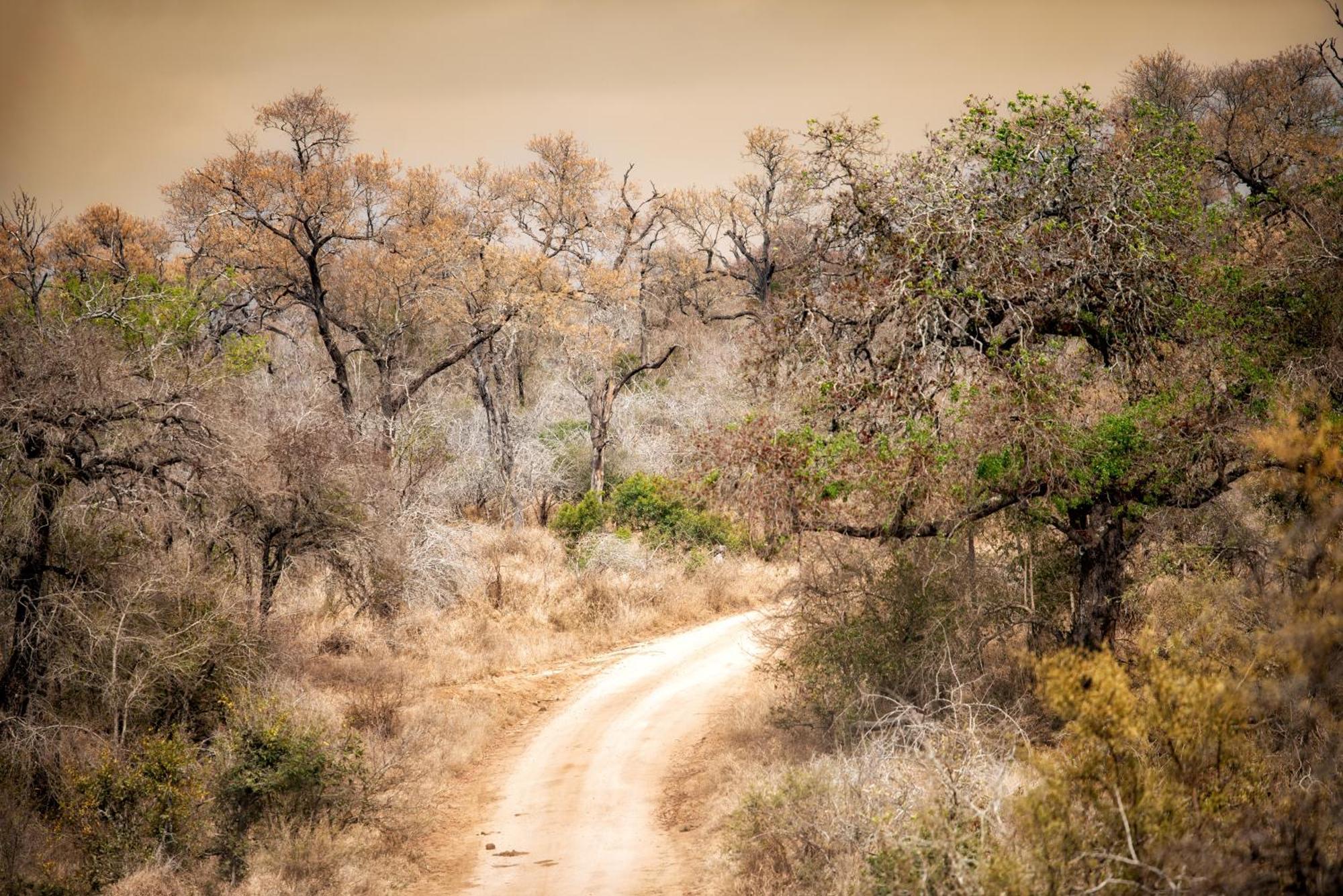 Rhino Walking Safaris Hotel Skukuza Exterior foto