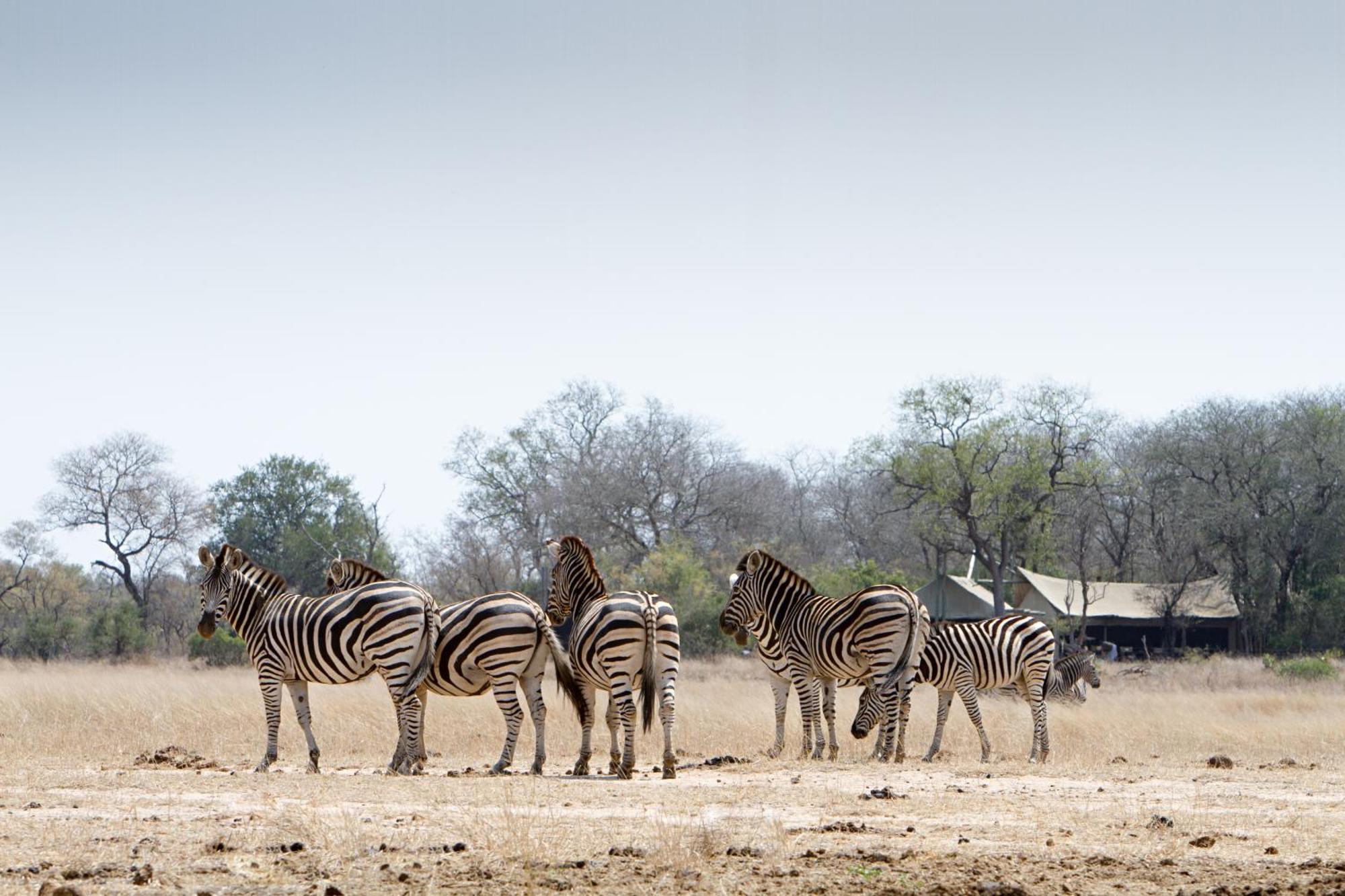 Rhino Walking Safaris Hotel Skukuza Exterior foto