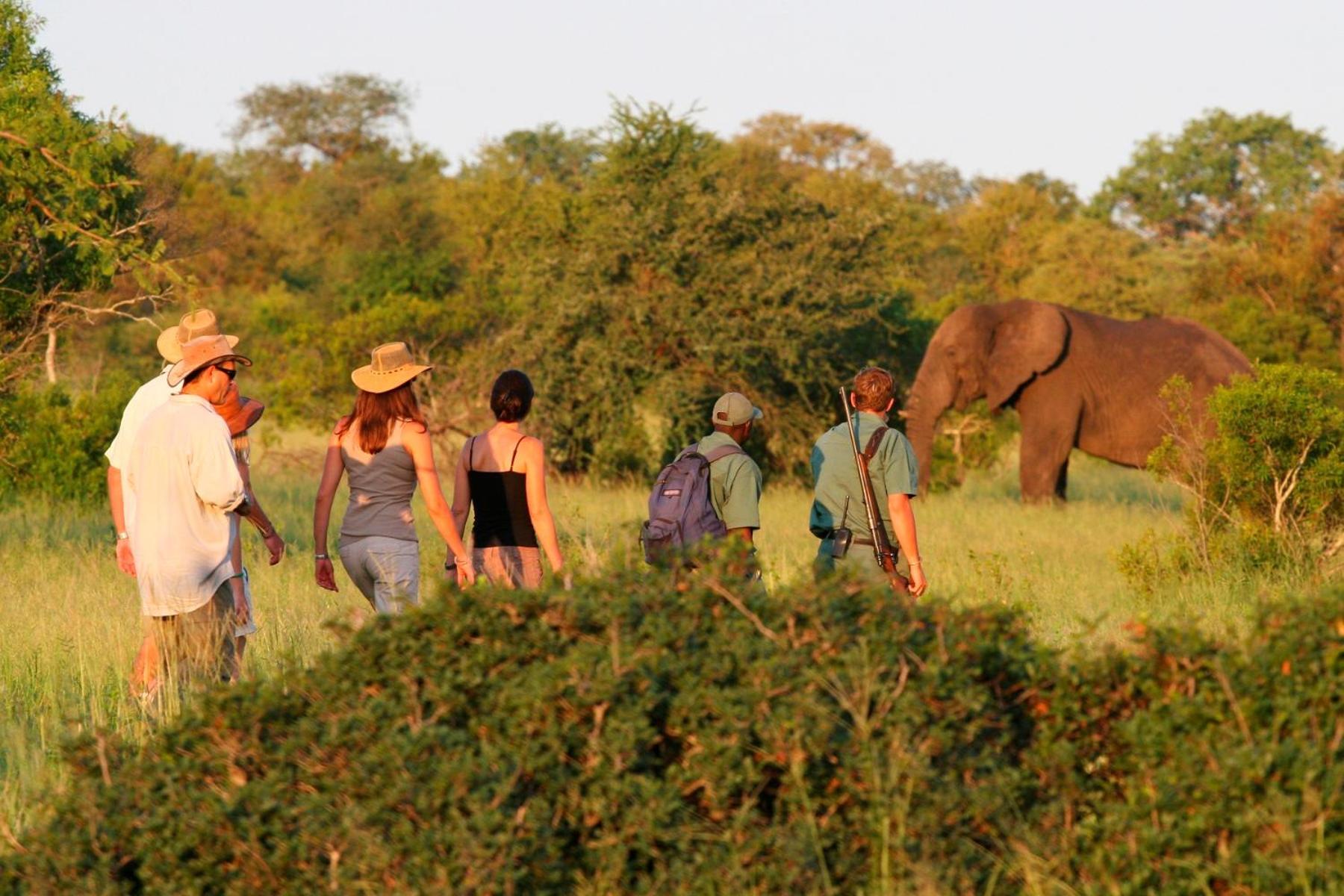 Rhino Walking Safaris Hotel Skukuza Exterior foto
