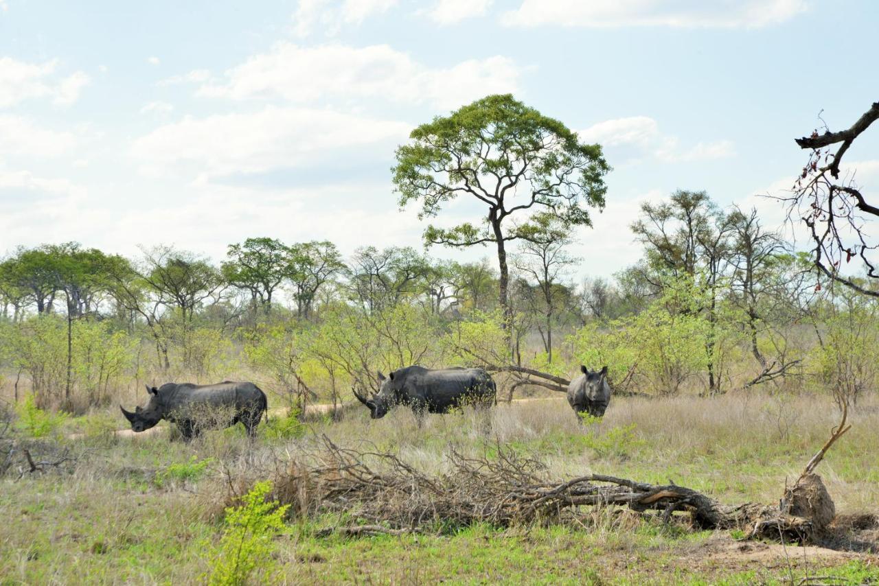Rhino Walking Safaris Hotel Skukuza Exterior foto
